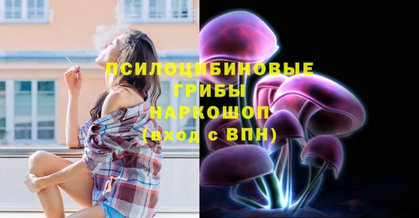 крисы Мегион