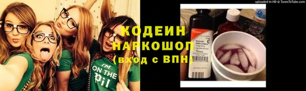 крисы Мегион