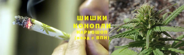 стаф Майский