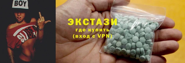 крисы Мегион