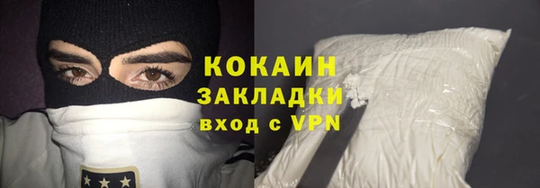 крисы Мегион