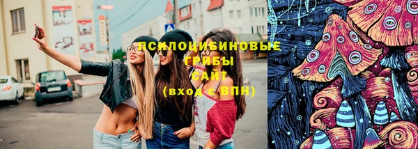 МДПВ Медвежьегорск
