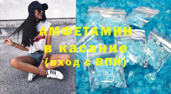 прущие грибы Медногорск