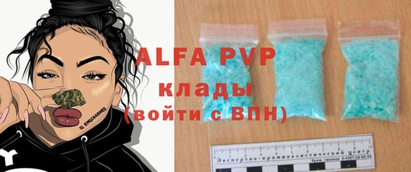прущие грибы Медногорск