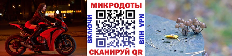 Галлюциногенные грибы Cubensis  наркошоп  Армавир 