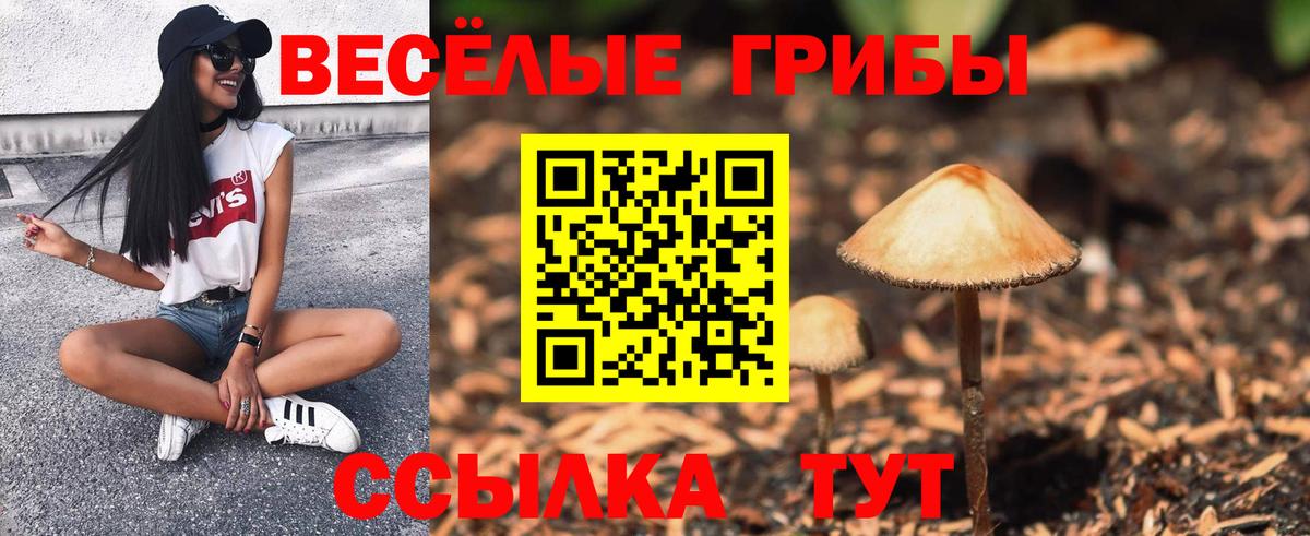 Галлюциногенные грибы MAGIC MUSHROOMS  Вход с VPN  Армавир 